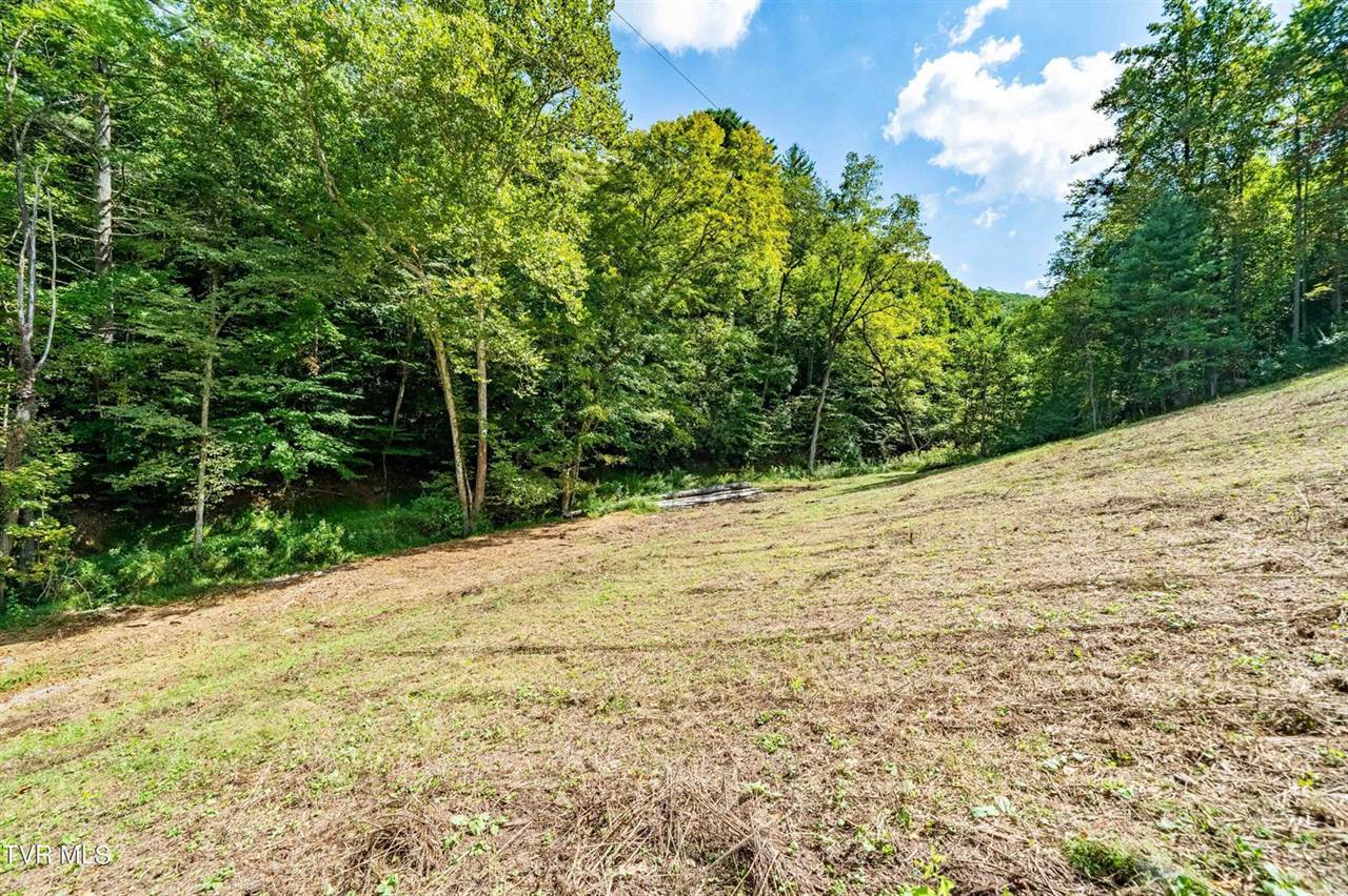 Tbd Oaks Road, Unicoi, TN 37692