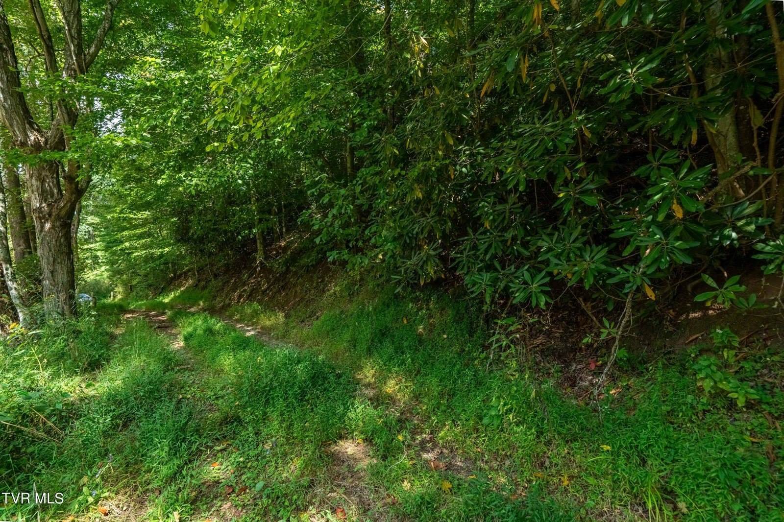 Tbd Oaks Road, Unicoi, TN 37692