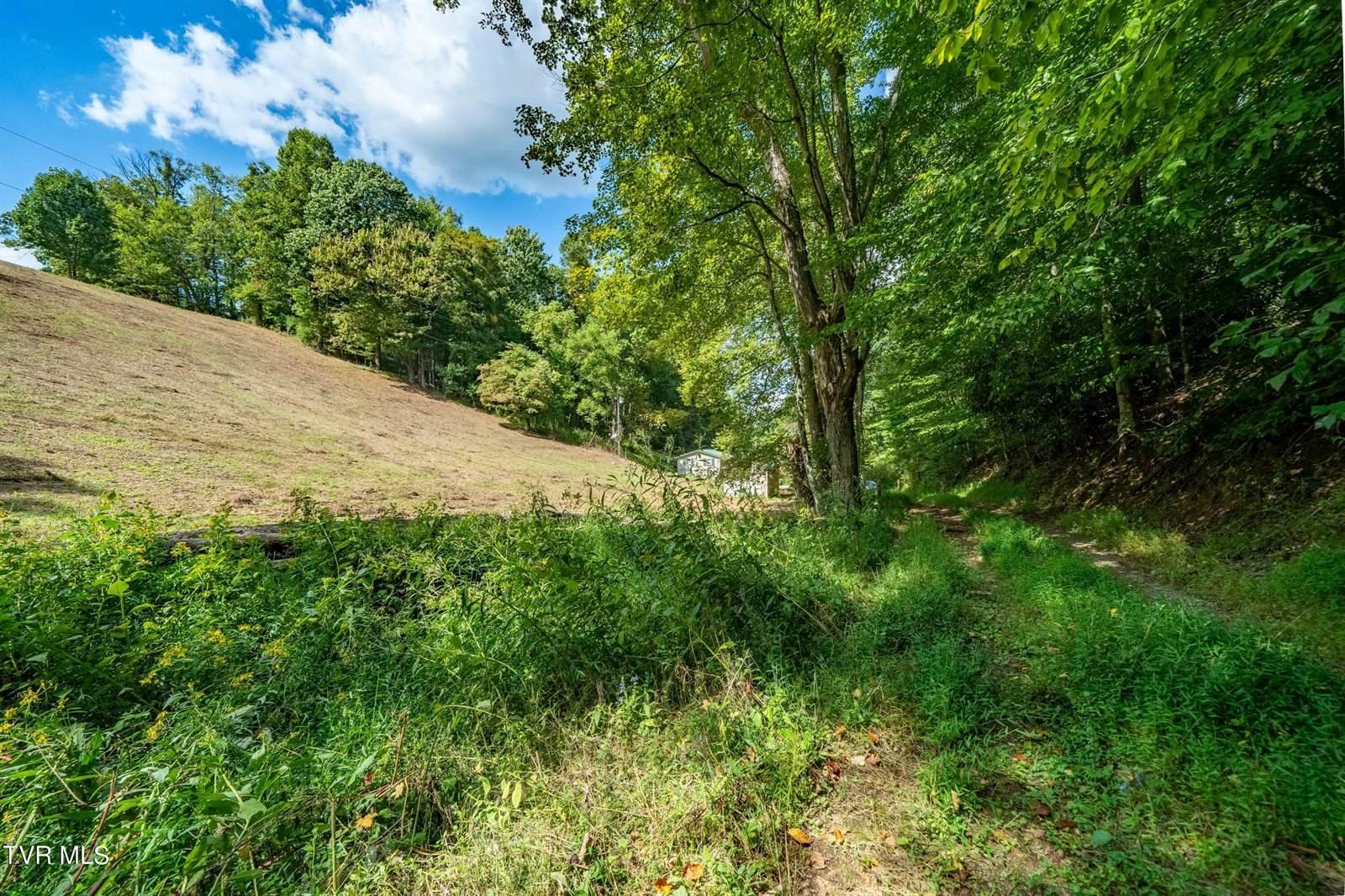 Tbd Oaks Road, Unicoi, TN 37692