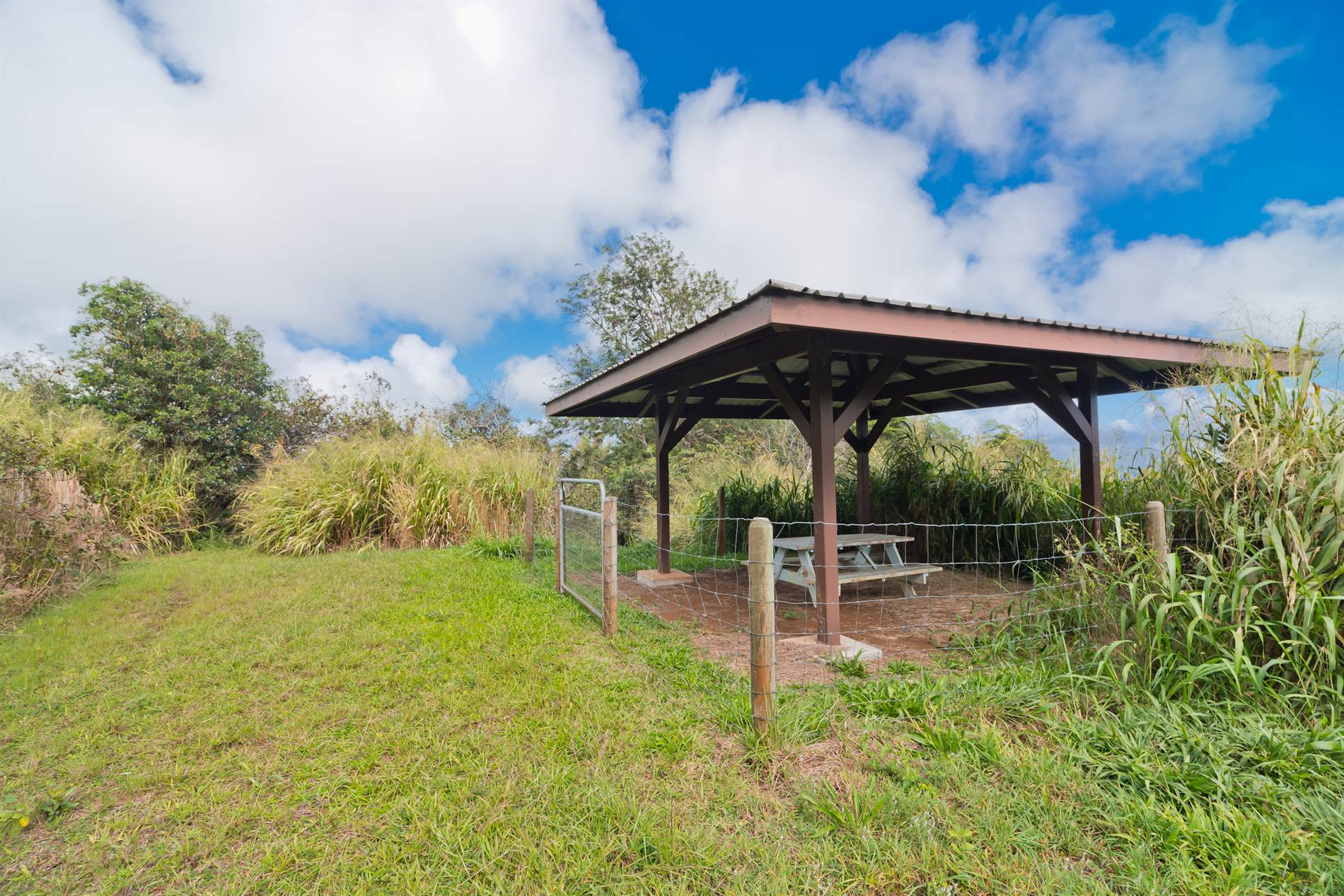 44-3342 Kula Kahiko Rd, Honokaa, HI 96727