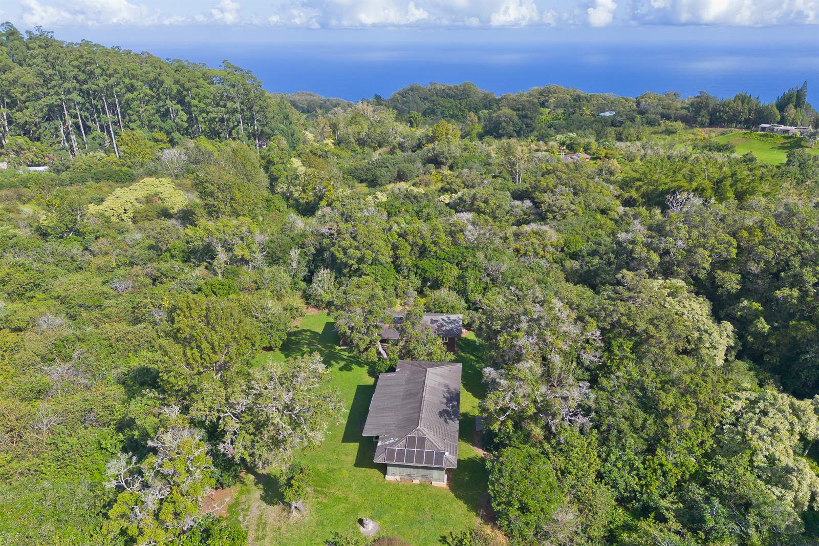 44-3342 Kula Kahiko Rd, Honokaa, HI 96727