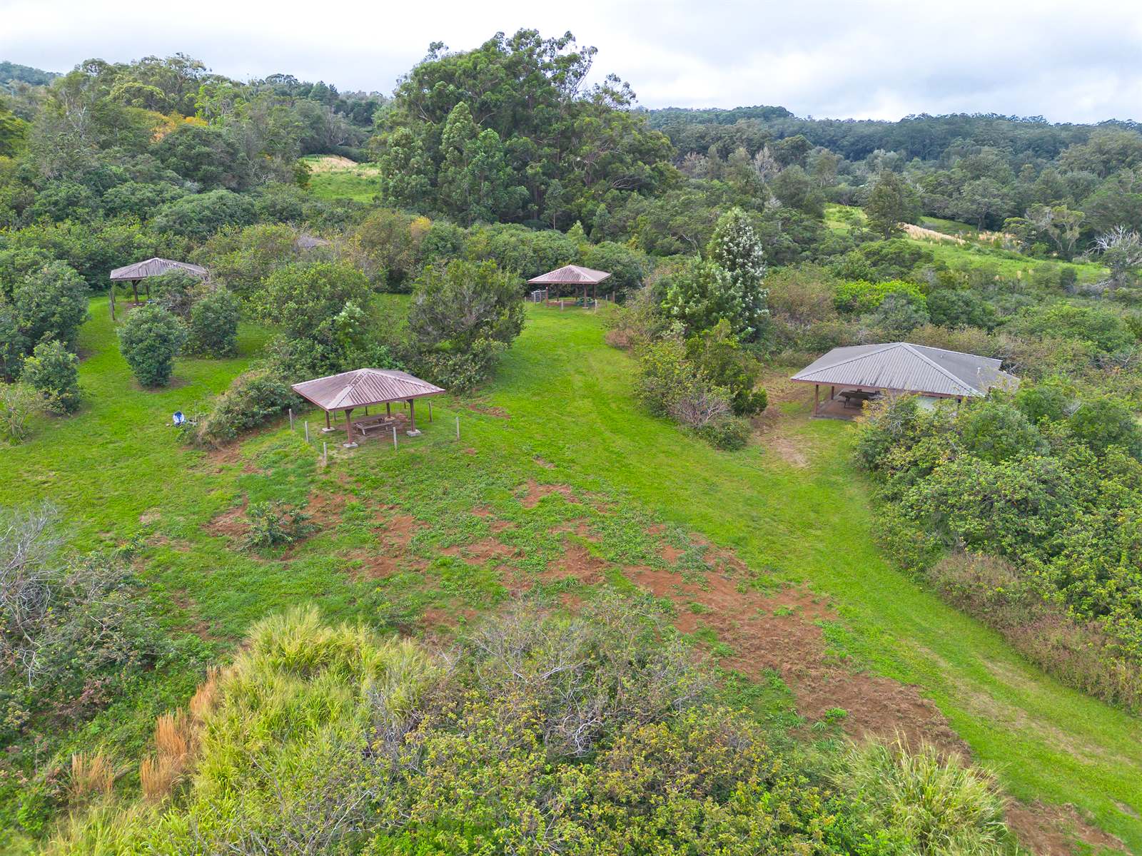 44-3342 Kula Kahiko Rd, Honokaa, HI 96727