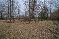 1050 Point Basse Avenue, Nekoosa, WI 54457