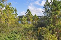 17860 Passionflower Circle, Clermont, FL 34714