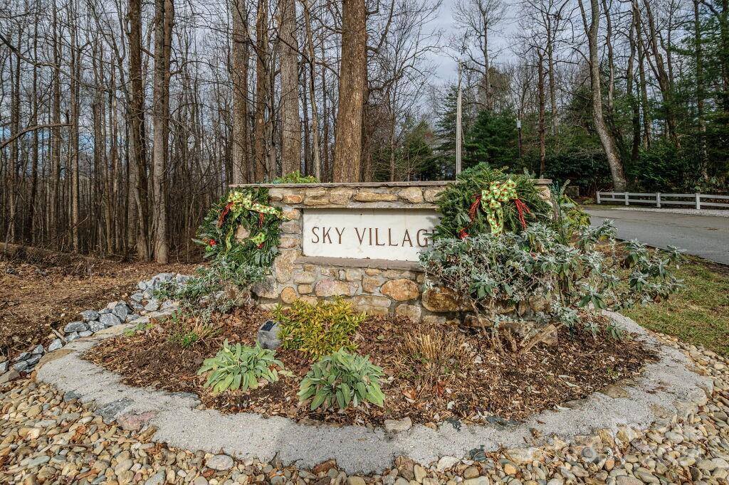 124 Sky Village Lane, Laurel Park, NC 28739