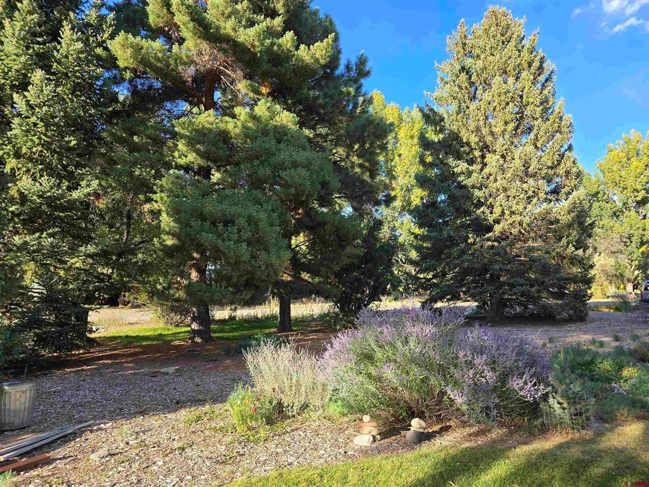 62224 Chu Chu Lane, Montrose, CO 81403