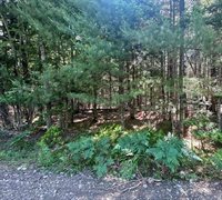 Lot #6 Bonnie Way, Winterport, ME 04496