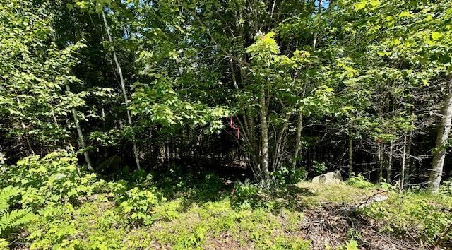 Lot #8 Bonnie Way, Winterport, ME 04496