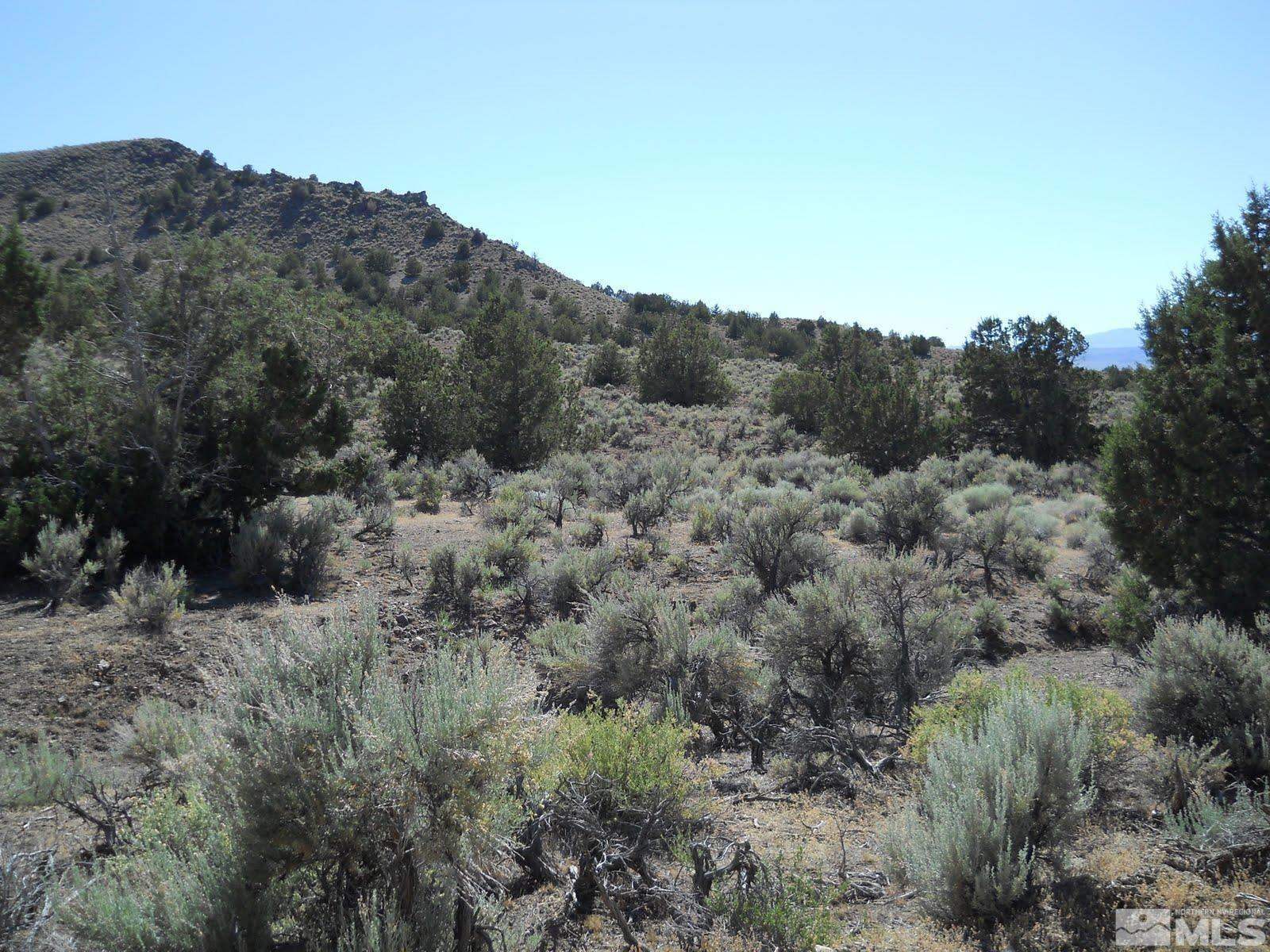 8210 Mill Creek Rd, Battle Mountain, NV 89820