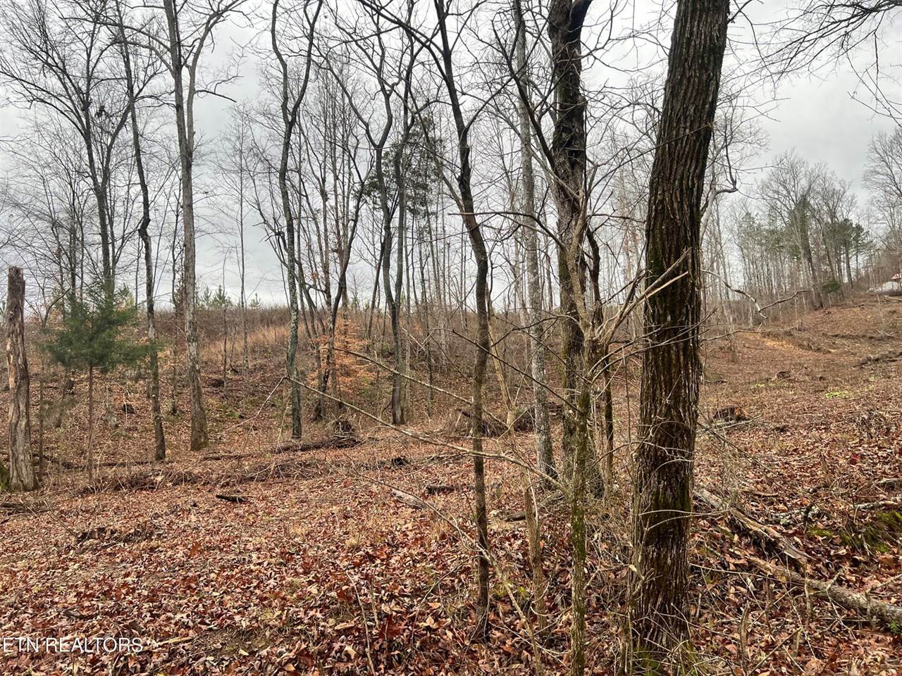 lot 1 Arwine Road, Decatur, TN 37322