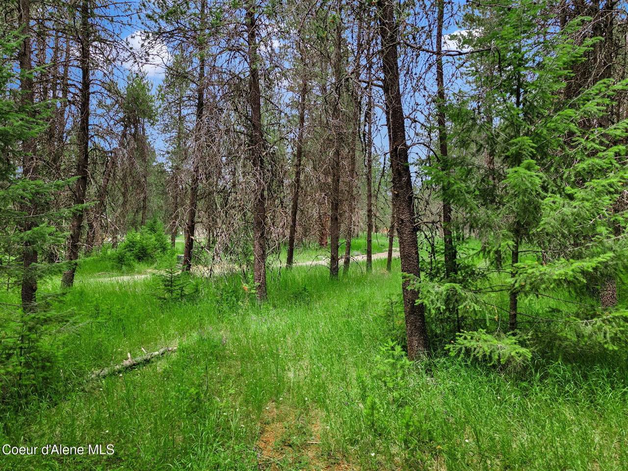 NKA Rock Springs Rd Lot 2A, Athol, ID 83801