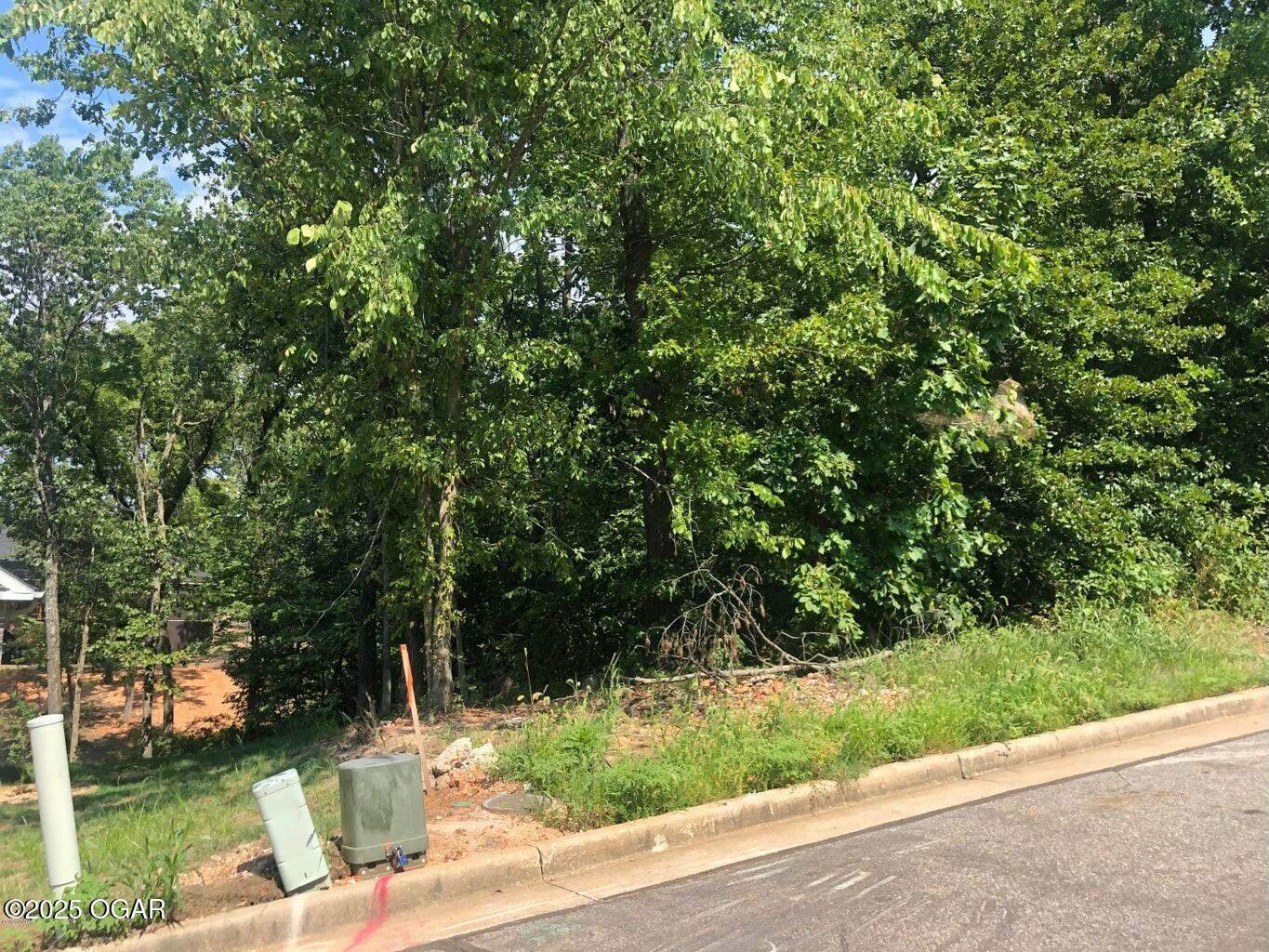 TBD Scenic Avenue Lot, #10, Joplin, MO 64804