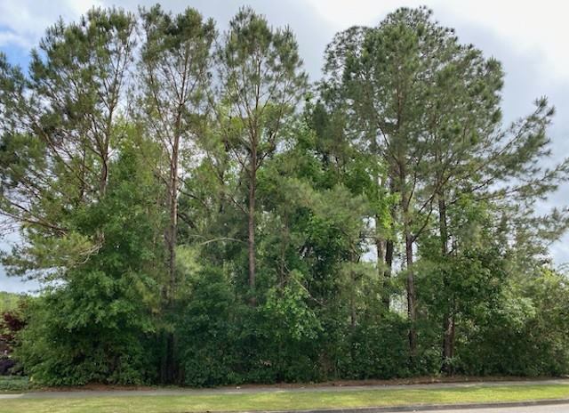 8447 Pine Run, Spanish Fort, AL 36527