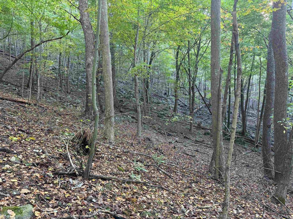 Lot 10 Spring Dr, Newport, VA 24128