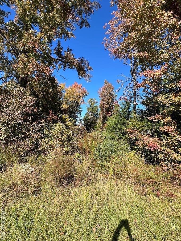 1380 Keeton Road, Bullock, NC 27507