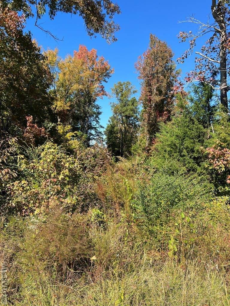 1380 Keeton Road, Bullock, NC 27507