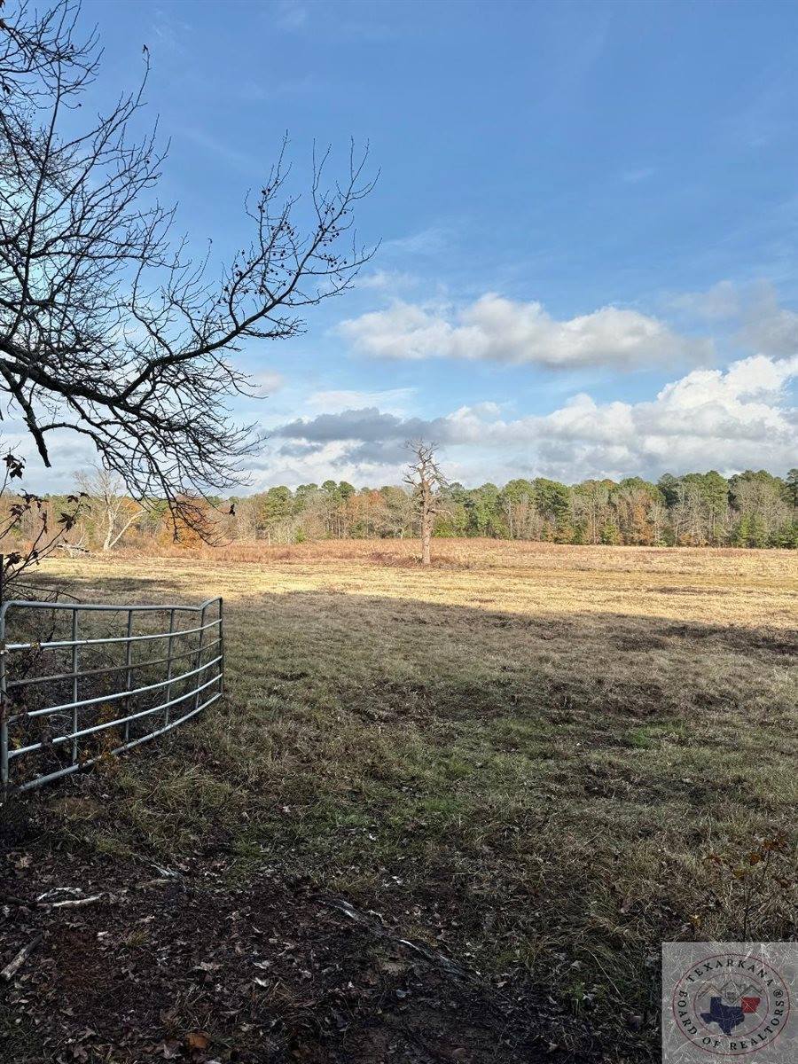 TBD 20.33 acres CR 1460, Linden, TX 75563