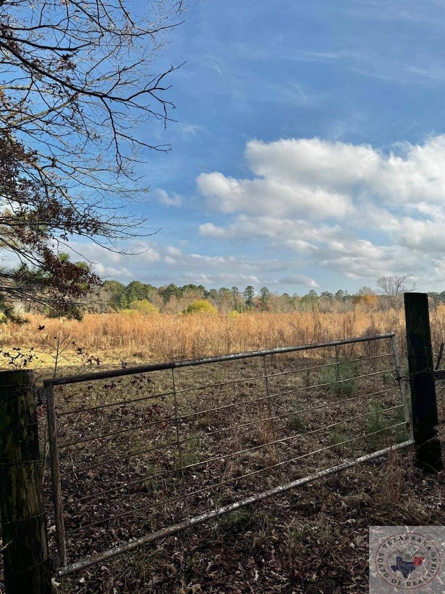 TBD 20.33 acres CR 1460, Linden, TX 75563