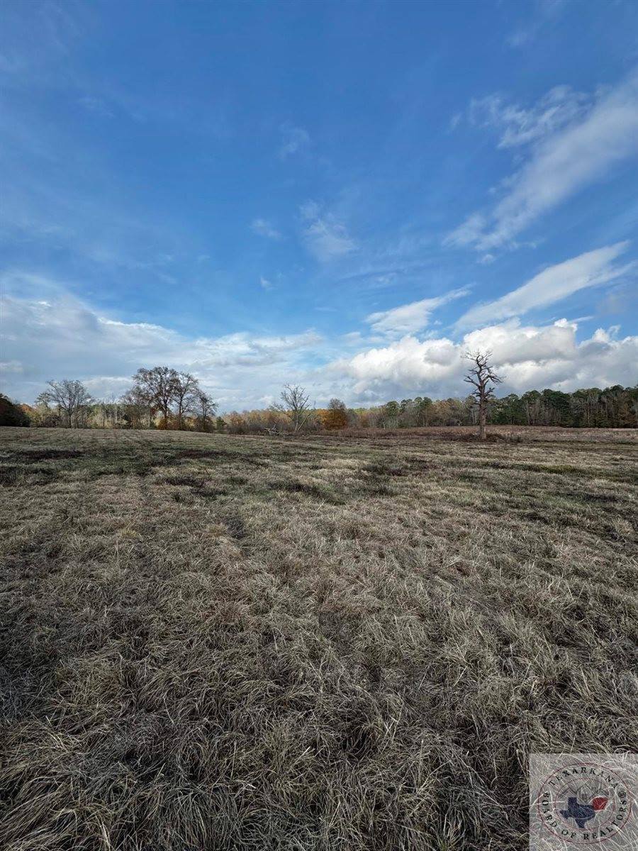 TBD 20.33 acres CR 1460, Linden, TX 75563