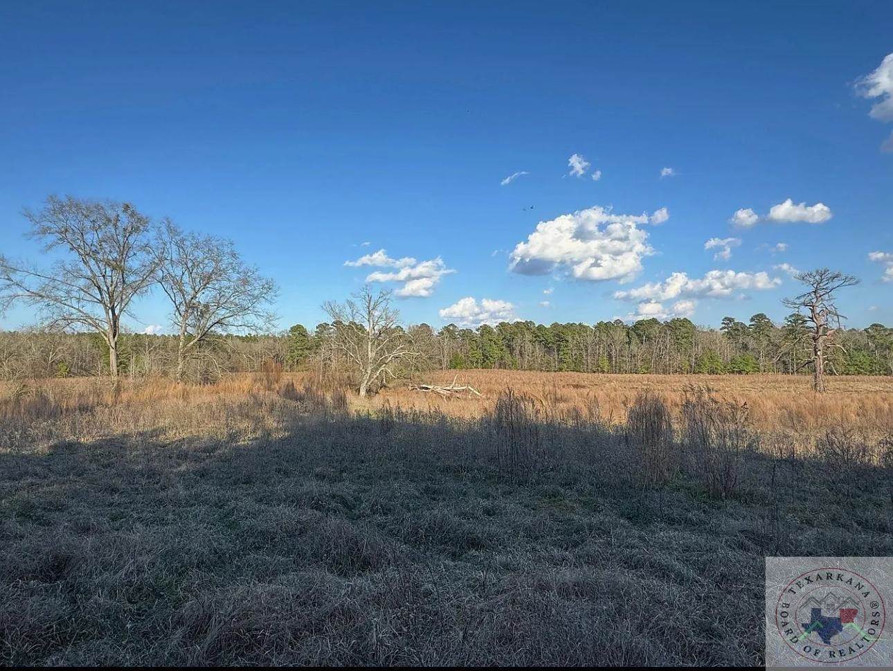 TBD 20.33 acres CR 1460, Linden, TX 75563