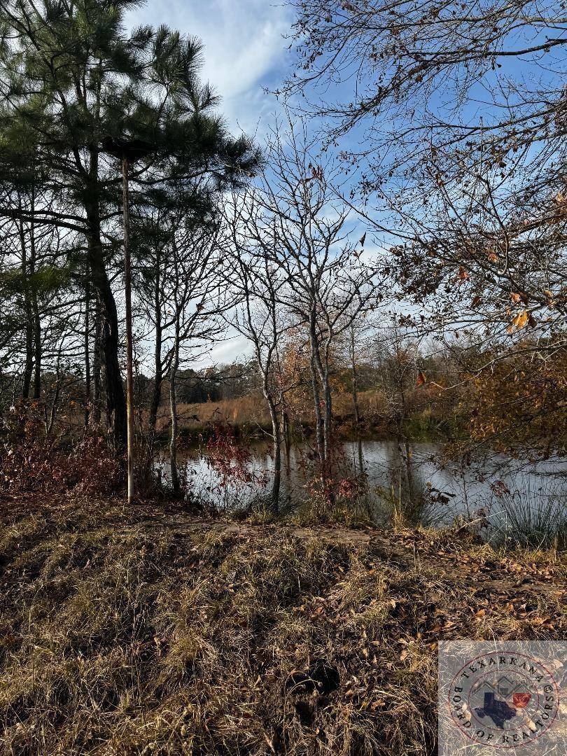 TBD 20.33 acres CR 1460, Linden, TX 75563