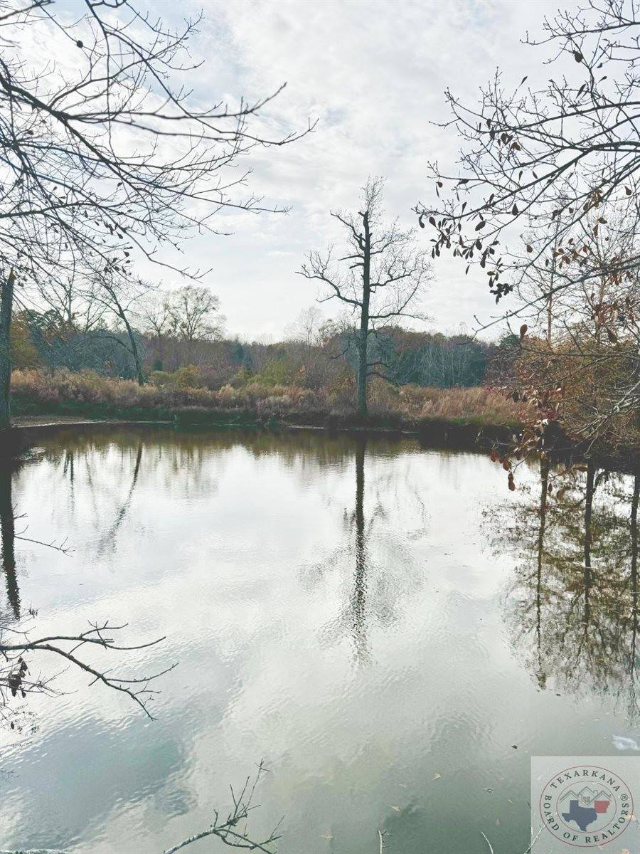 TBD 20.33 acres CR 1460, Linden, TX 75563