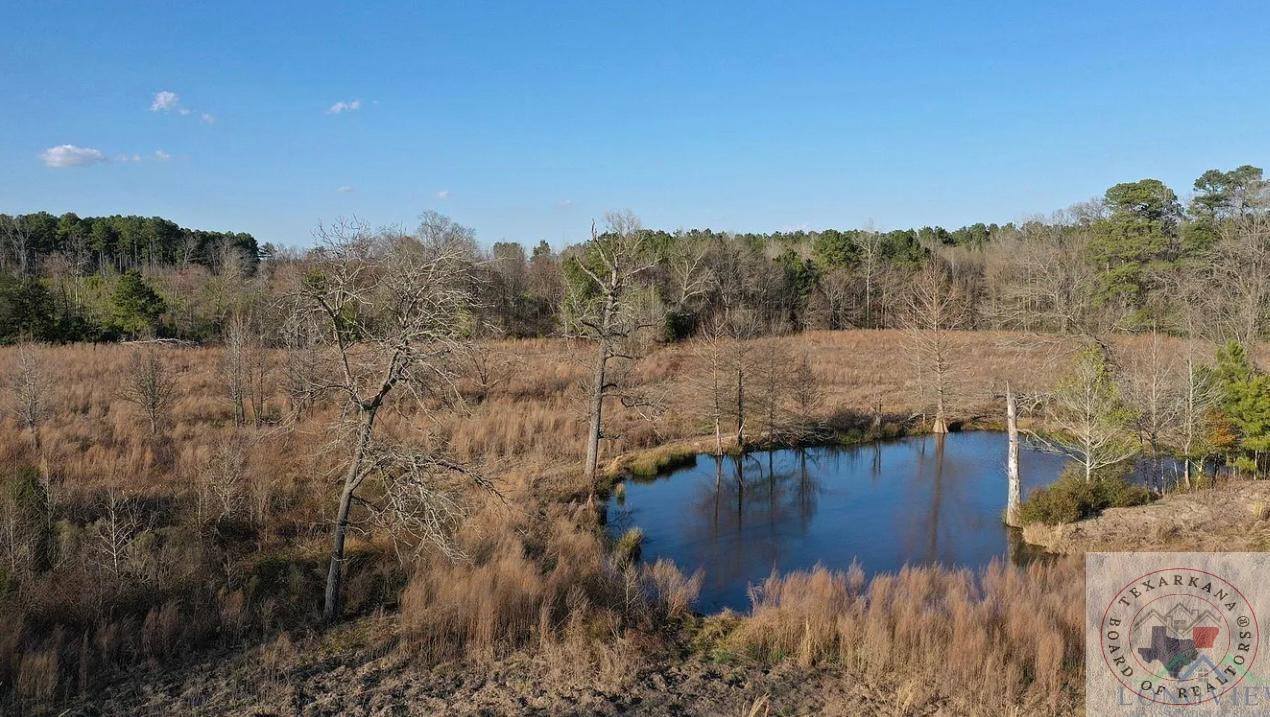 TBD 20.33 acres CR 1460, Linden, TX 75563