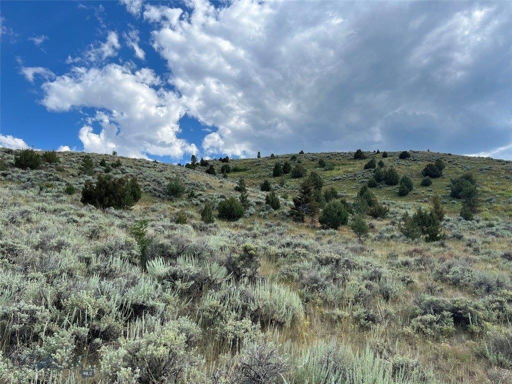 44 Backcountry Ranch Road, Norris, MT 59745