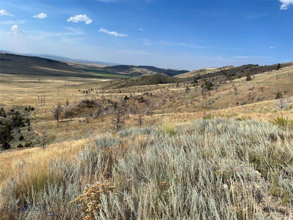 44 Backcountry Ranch Road, Norris, MT 59745