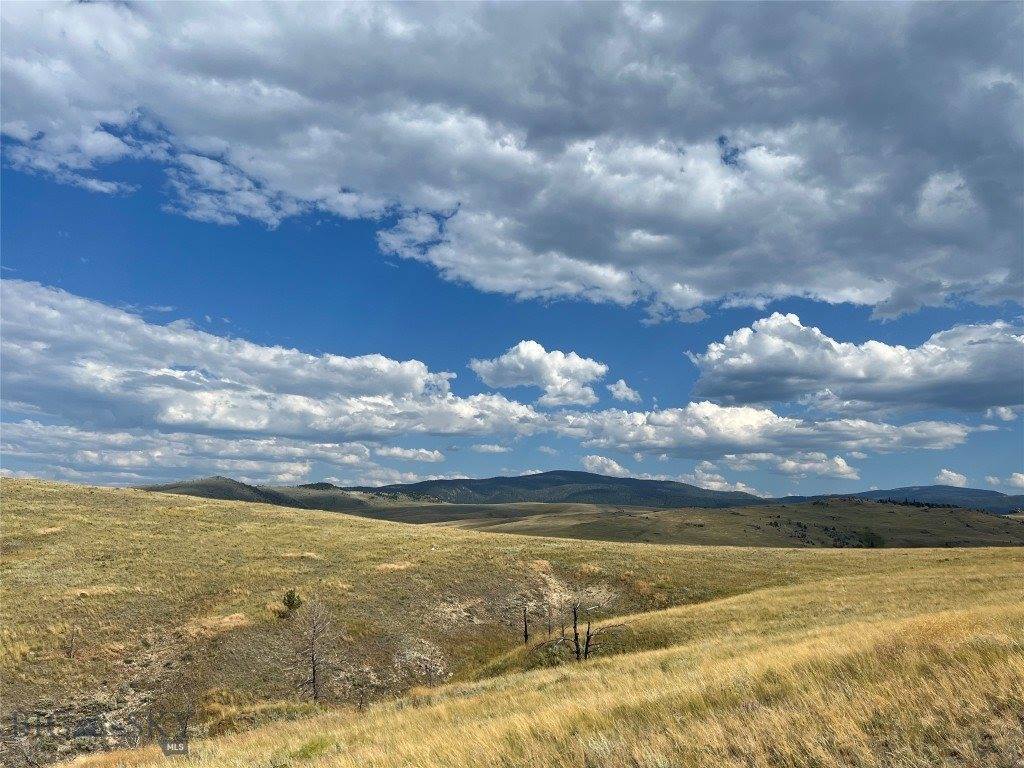44 Backcountry Ranch Road, Norris, MT 59745