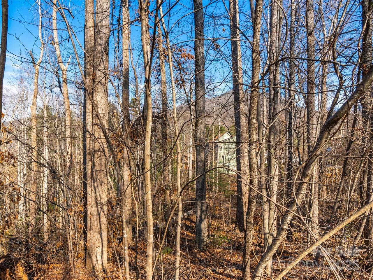 10 Angler Trail, Asheville, NC 28803