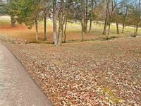 154 Elliott Rd, Greenbrier, AR 72058