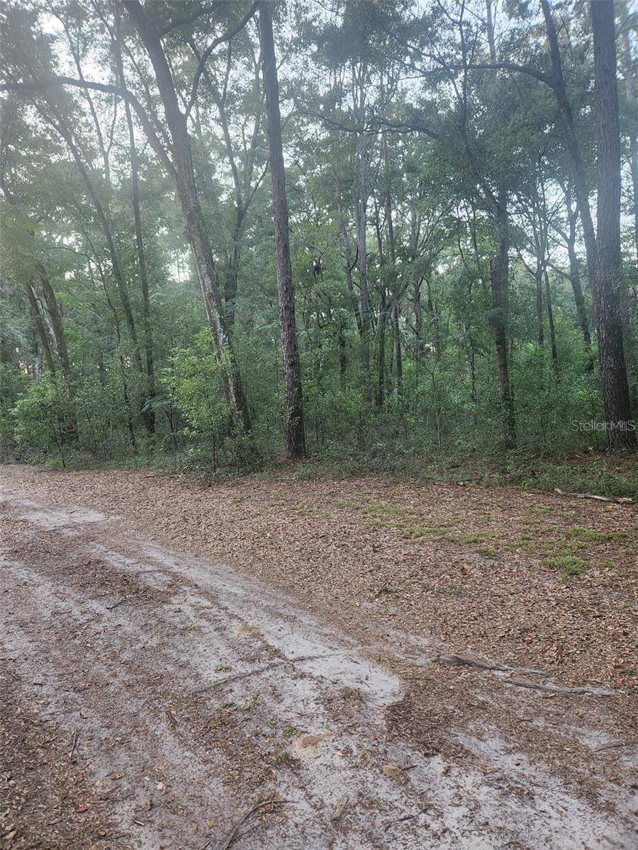 Tbd Se 75th Street, Ocala, FL 34480