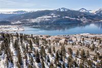 360 Reva Ridge Rd, Twin Lakes, CO 81251