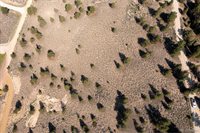 360 Reva Ridge Rd, Twin Lakes, CO 81251