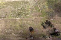 0 West Broncho Road, Simonton, TX 77485