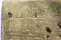 0 West Broncho Road, Simonton, TX 77485