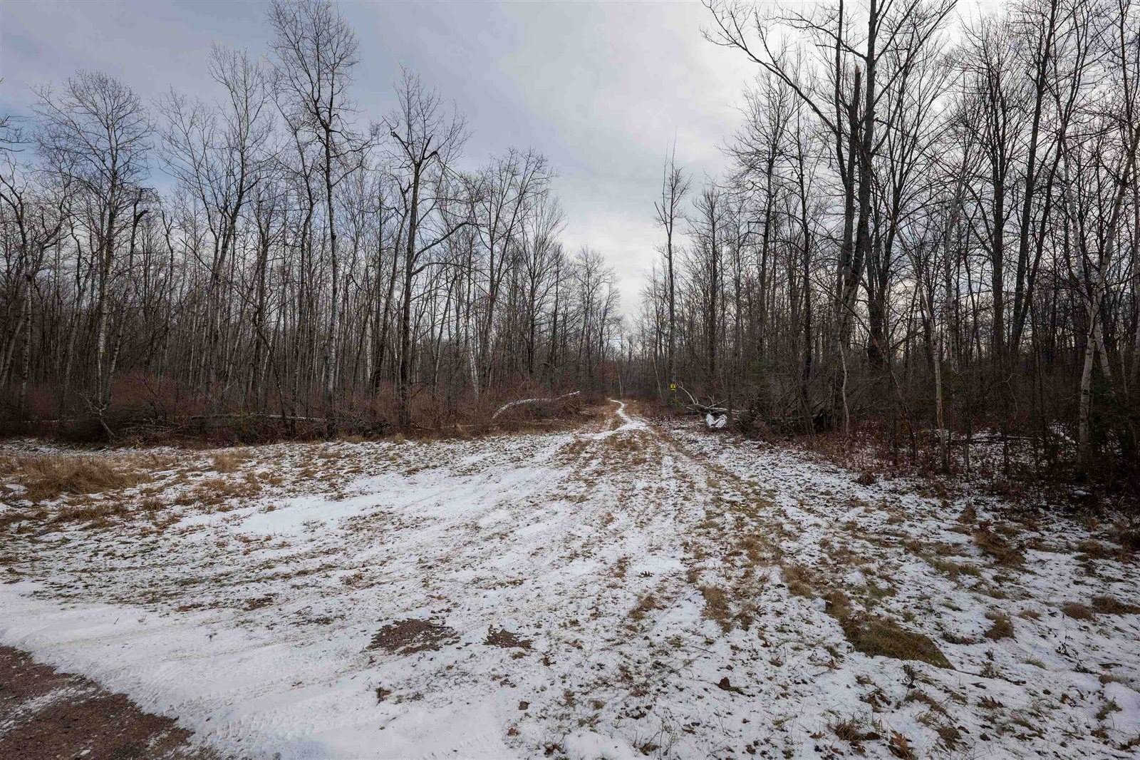 Lot 43 SCOUT TRAIL, Ojibwa, WI 54862