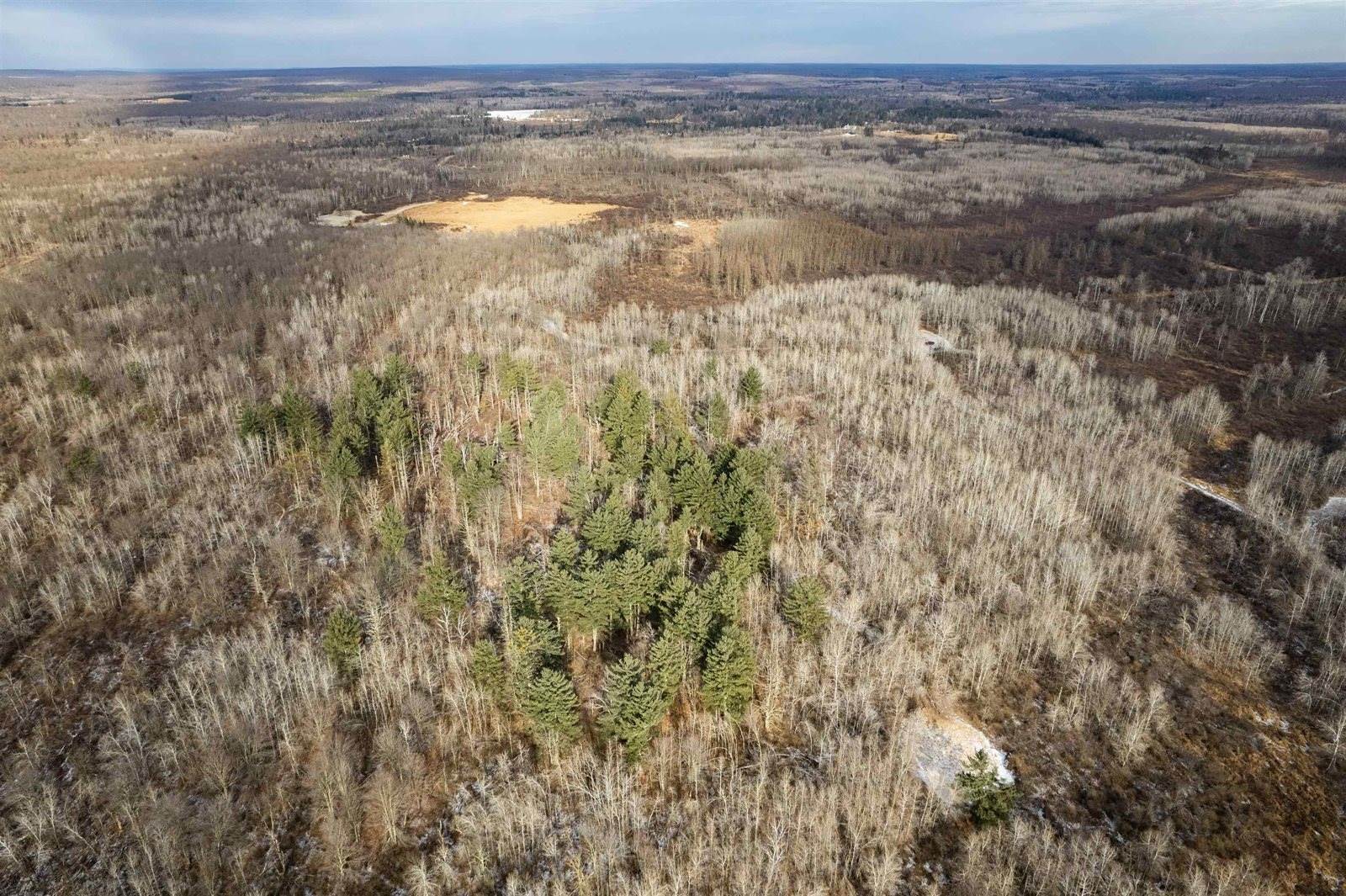 Lot 43 SCOUT TRAIL, Ojibwa, WI 54862