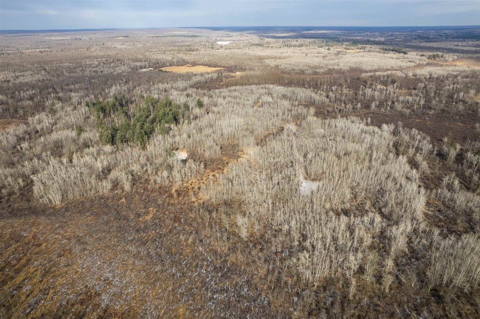 Lot 43 SCOUT TRAIL, Ojibwa, WI 54862