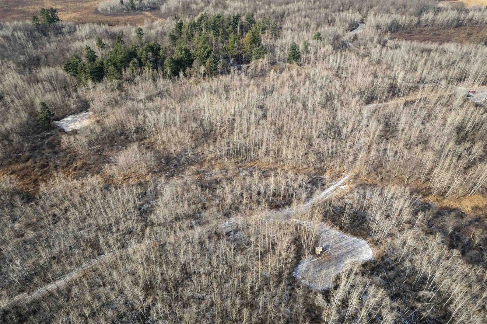 Lot 43 SCOUT TRAIL, Ojibwa, WI 54862