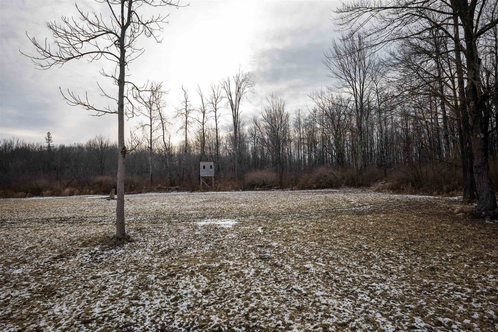 Lot 43 SCOUT TRAIL, Ojibwa, WI 54862