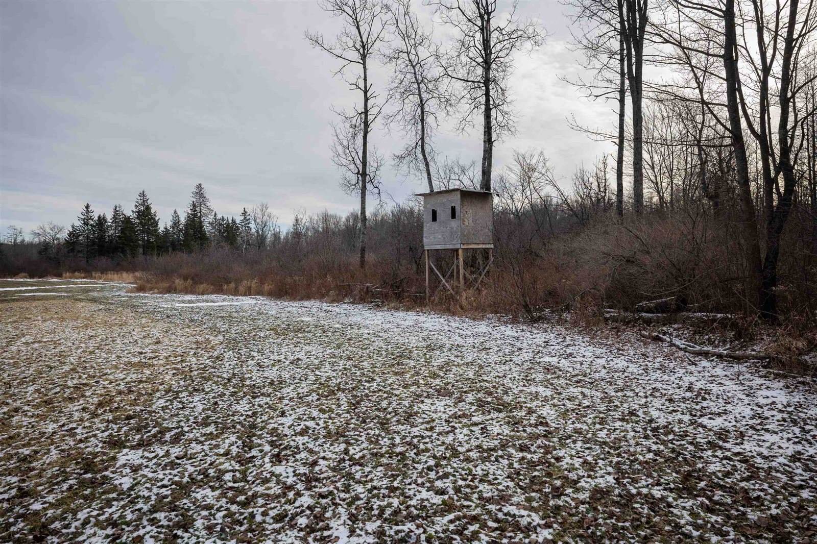 Lot 43 SCOUT TRAIL, Ojibwa, WI 54862