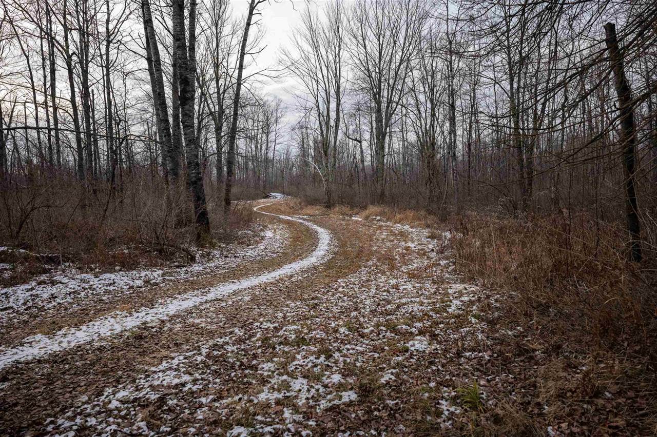 Lot 43 SCOUT TRAIL, Ojibwa, WI 54862