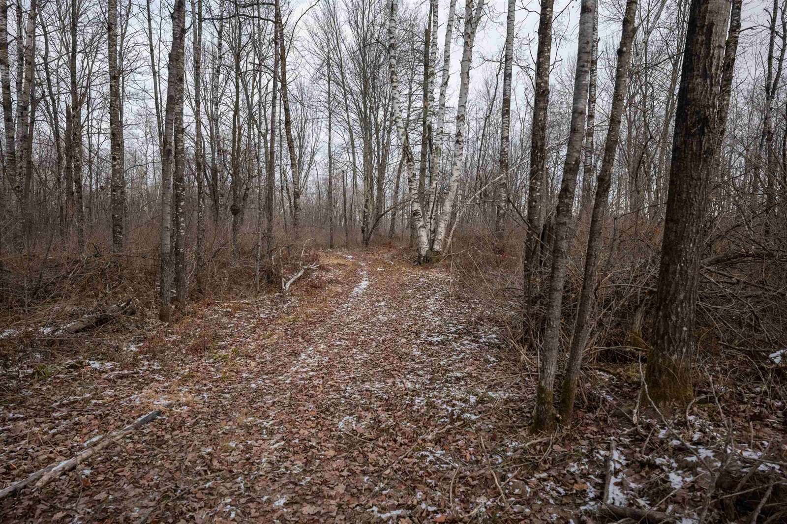 Lot 43 SCOUT TRAIL, Ojibwa, WI 54862