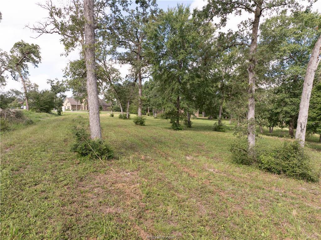 9670 Windsor Avenue, Iola, TX 77861