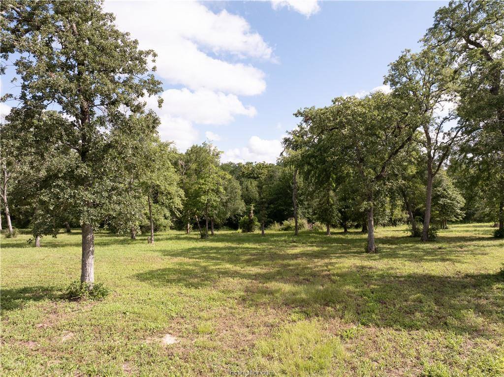 9670 Windsor Avenue, Iola, TX 77861