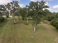 9670 Windsor Avenue, Iola, TX 77861