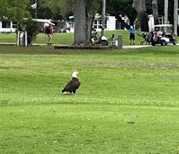 1100 Belcher Road South, Largo, FL 33771