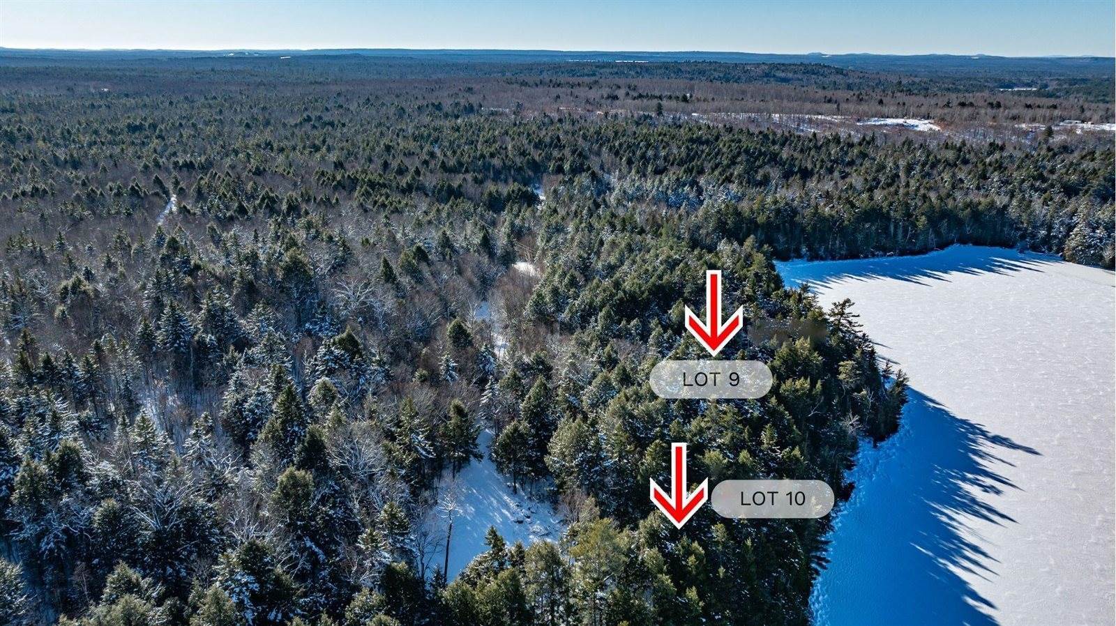 Lot 9 & 10 Highland Road, Cathance Township, ME 04628